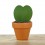 Cactus et succulentes pour evénements