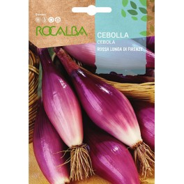 Semilla Cebolla Rossa Lunga di Firenze