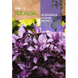 Semente de manjericão Dark Opal