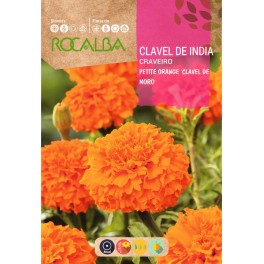 Llavor clavell de moro petit Orange