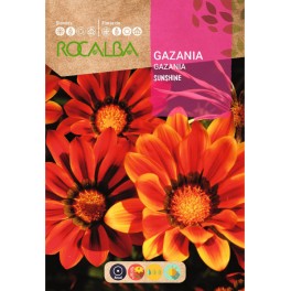 Graines de gazania Sunshine