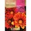 Llavor gazania Sunshine
