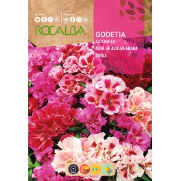 Semente de godetia flor de azálea anã dupla