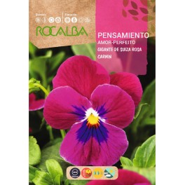 Semente de amor-perfeito suíço gigante rosa carmim