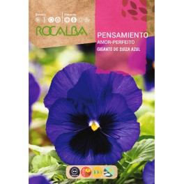 Semilla pensamiento gigante suizo azul