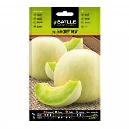 Semilla melón Honey Dew