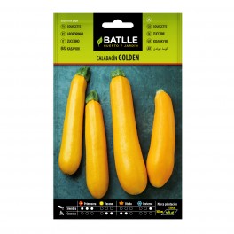 Semilla calabacin Golden