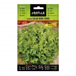 Llavor enciam Salad Bowl verd