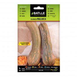 Semilla calabaza Mallueca tipo vasca