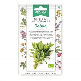 Semente de salvia (orgânica)