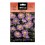 Graine de aster alpino