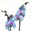Phalaenopsis blue passion (orquidea en vaso 11 cm ø) exemplar unico