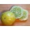 Semilla pepino limón (ecológica)