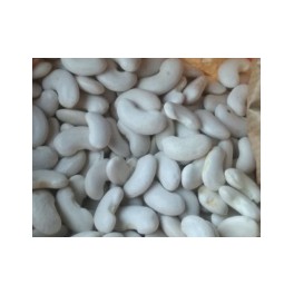 Graines de haricots du ganxet grand (biologique)