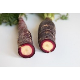 Graines de carotte violette de Montuiri (biologique)