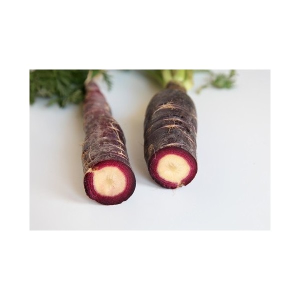 Semente de cenoura roxa de Montuiri (org&acirc;nico)