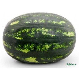 Semilla Sandía Fabiana F1 (híbrida) (1.000 semillas)