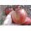 Semente de tomate coração de boi escuro (orgânico)
