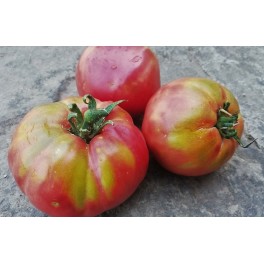 Graines de tomate français (biologique)