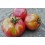 Semente de tomate francês (orgânico)