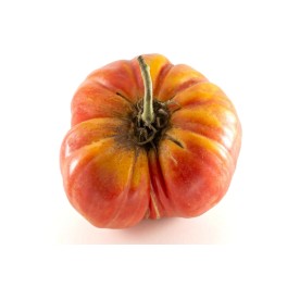 Semilla tomate Mandó de Collserola (ecológica)