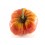 Semente de tomate Mandó de Collserola (orgânico)