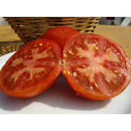 Semente de tomate Riells (orgânico)