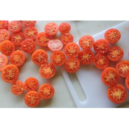Graines de Tomate Tomacó canari (tradicional catalán).