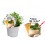 Menta Piña Colada (maceta 14 cm Ø)