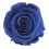Rosa preservada azul oscuro
