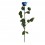 Rosa preservada azul oscuro