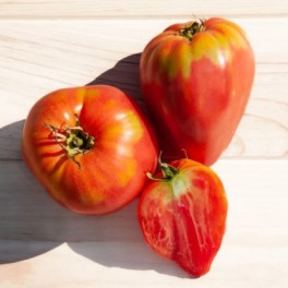 Semilla tomate corazón Yasha Yugoslavian (ecológica)
