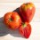 Semilla tomate corazón Yasha Yugoslavian (ecológica)