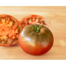 Semilla tomate Royal Purple (ecológica)