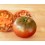 Semente de tomate Royal Purple (orgânico)