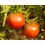 Semilla tomate Royal Purple (ecológica)