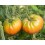 Semilla tomate Ananas Noir (ecológica)