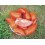 Semilla tomate San Marzano Redorta (ecológica)
