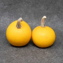 Graines de citrouille Pomme d'Or  (biologique)