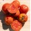 Graines de Tomate Ponderosa Red (biologique)