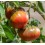 Semilla tomate Brandywine Black (ecológica)