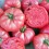 Semilla tomate Brandywine Pink (ecológica)