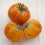 Graines de Tomate Tangerine (biologique)