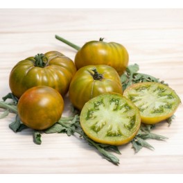 Semente de tomate Green Pineapple (orgânico)