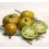 Semilla tomate Green Pineapple (ecológica)