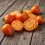 Semilla tomate Corazón de buey Orange (ecológica)