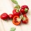 Llavor pebrot Alma Paprika (ecològica)