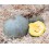 Semilla calabaza Courge Bleu de Hongrie (ecológica)