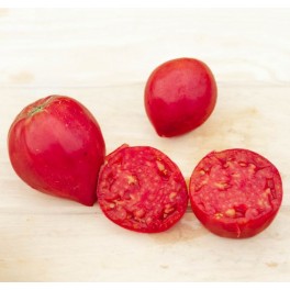 Semente de tomate Anna Russian (orgânico)