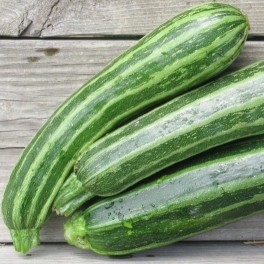 Semilla calabacín Cocozelle (ecológica)